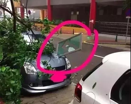 窗戶砸到汽車